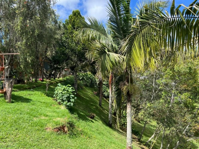 Finca en venta en Loma Del Escobero, Envigado, 136 m² · foto 3 de 22