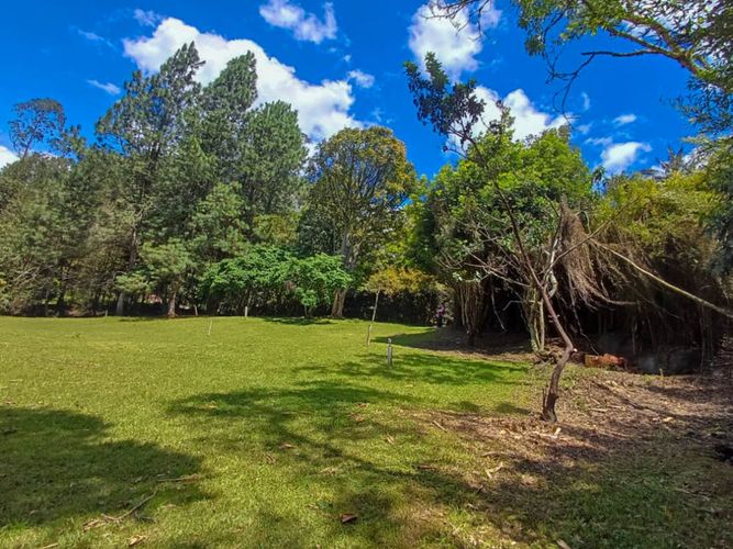 Lote en venta en Vía Las Palmas, Envigado, 6400 m² · foto 2 de 14