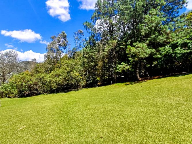 Lote en venta en Vía Las Palmas, Envigado, 6400 m² · foto 3 de 14