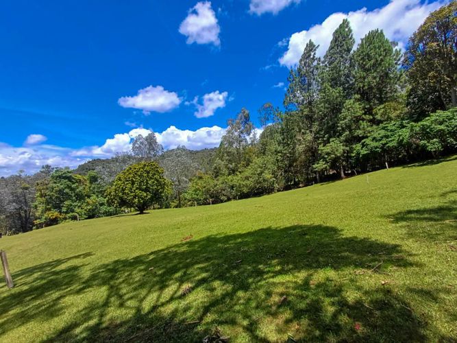 Lote en venta en Vía Las Palmas, Envigado, 6400 m² · foto 4 de 14