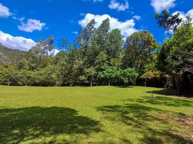 Lote en venta en Vía Las Palmas, Envigado, 6400 m² · foto 5 de 14
