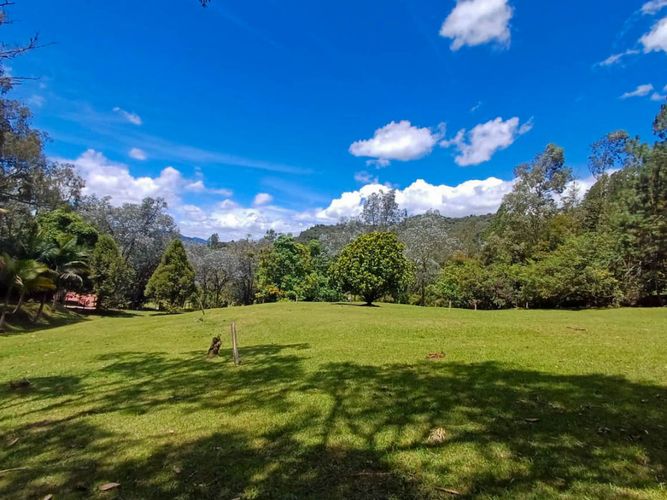 Lote en venta en Vía Las Palmas, Envigado, 6400 m² · foto 7 de 14