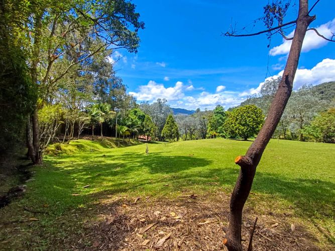 Lote en venta en Vía Las Palmas, Envigado, 6400 m² · foto 8 de 14