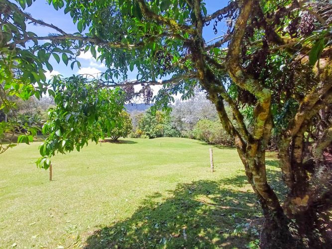 Lote en venta en Vía Las Palmas, Envigado, 6400 m² · foto 9 de 14