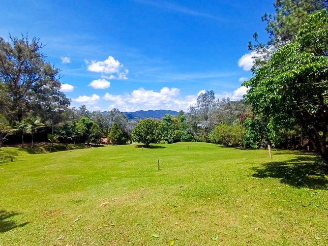 Lote en venta en Vía Las Palmas, Envigado, 6400 m² · foto 12 de 14