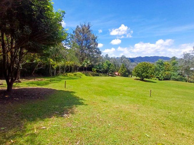 Lote en venta en Vía Las Palmas, Envigado, 6400 m² · foto 13 de 14