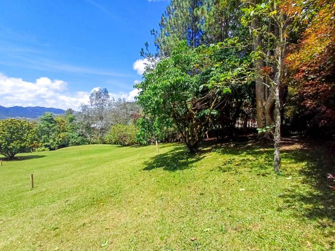 Lote en venta en Vía Las Palmas, Envigado, 6400 m² · foto 14 de 14