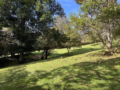 Lote en venta en El Retiro, 10 m² · foto 8 de 14