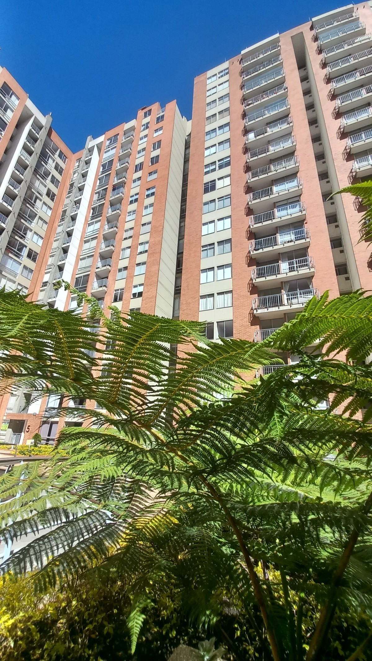 Apartamento en arriendo en Verbenal San Antonio, Bogotá · foto 2 de 24