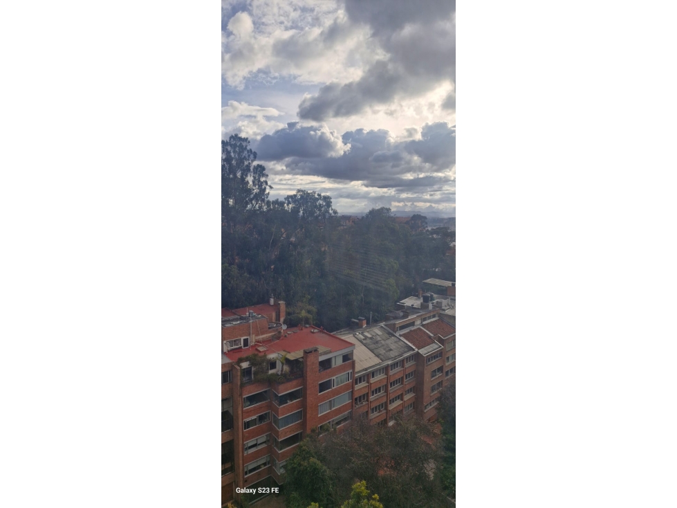 Apartamento en venta en Los Rosales, Bogotá · foto 6 de 19