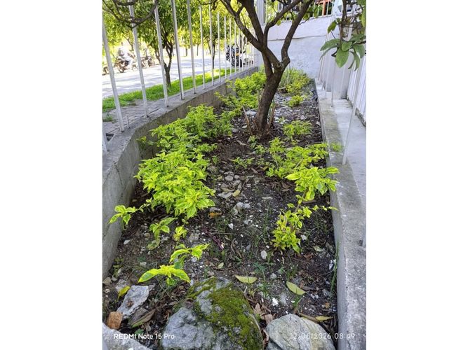 Local en arriendo en La Pilarica, Medellín, 48 m² · foto 10 de 11