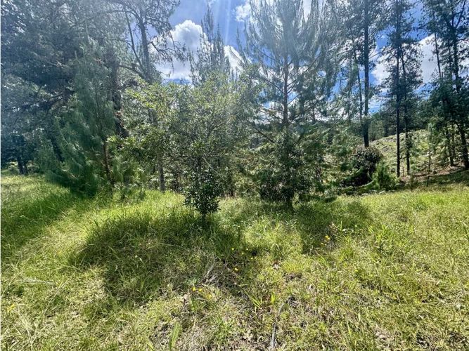 Lote en venta en Pantanillo, El Retiro, 1854 m² · foto 3 de 22