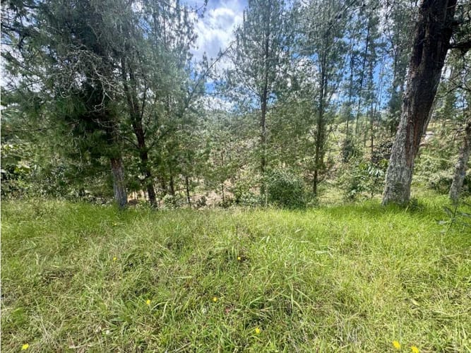 Lote en venta en Pantanillo, El Retiro, 1854 m² · foto 4 de 22