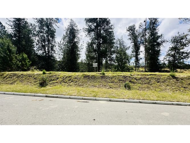 Lote en venta en Pantanillo, El Retiro, 1854 m² · foto 9 de 22