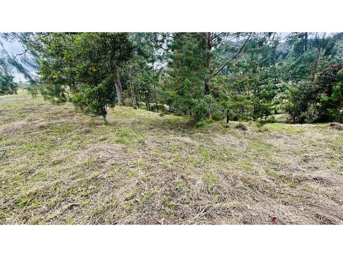 Lote en venta en Pantanillo, El Retiro, 1854 m² · foto 12 de 22