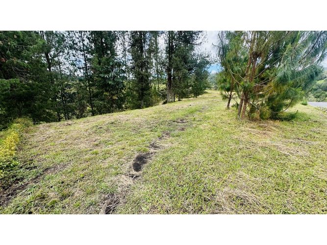 Lote en venta en Pantanillo, El Retiro, 1854 m² · foto 15 de 22