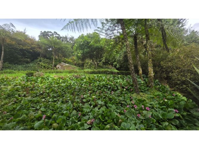 Apartamento de 3 alcobas en venta en Chico, Bogotá, 830 m² · foto 21 de 24
