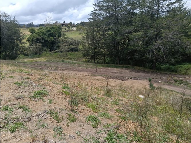 Lote en venta en La Ceja, 1625 m² · foto 2 de 22