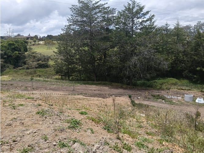 Lote en venta en La Ceja, 1625 m² · foto 3 de 22