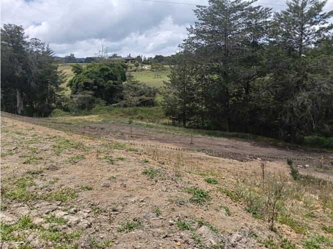Lote en venta en La Ceja, 1625 m² · foto 4 de 22