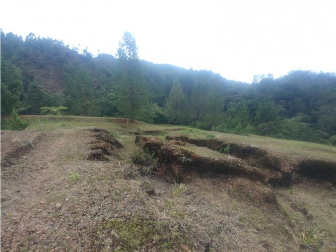Lote en venta en Loma Del Escobero, Envigado, 18790 m² · foto 11 de 12