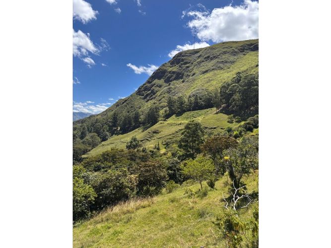 Lote en venta en Monta�Ita, Copacabana, 9000 m² · foto 14 de 16
