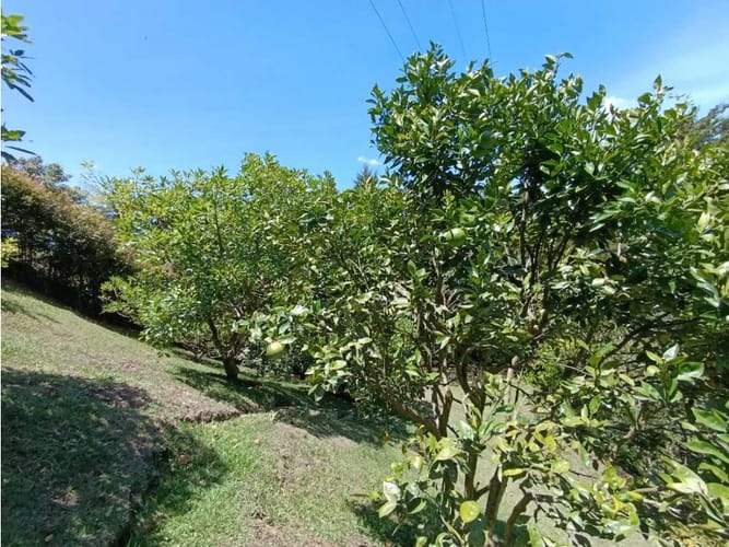 Casa de 3 alcobas en venta en Guamito, La Ceja · foto 19 de 24