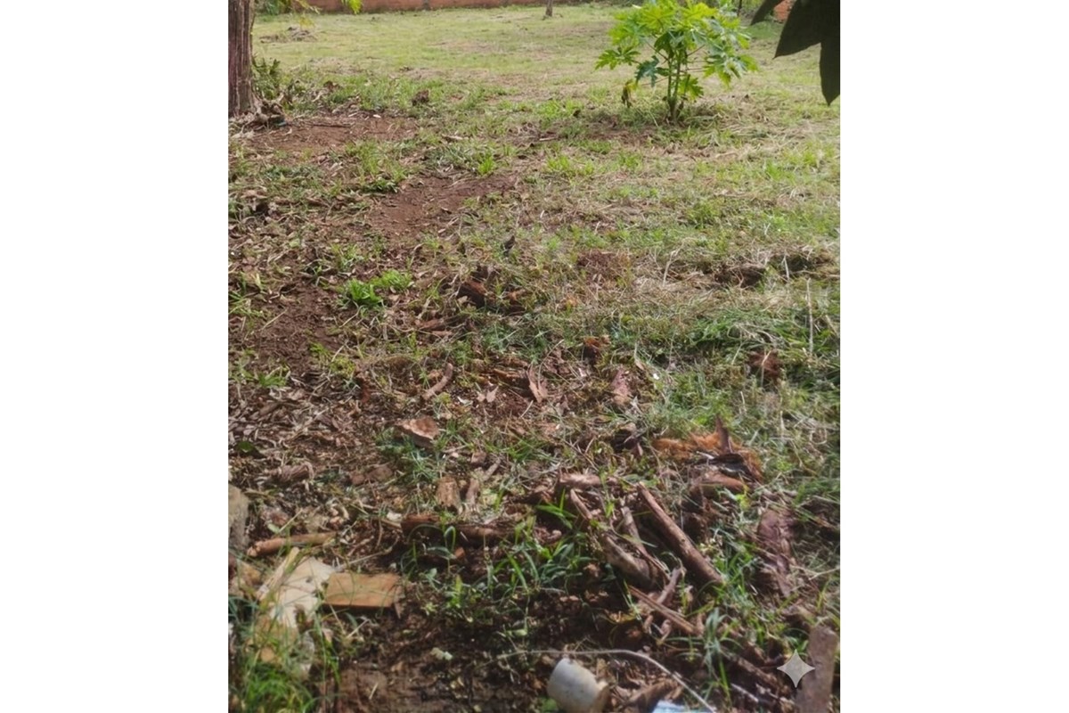 TERRENO EN OFERTA km 10 Acaray — foto 2