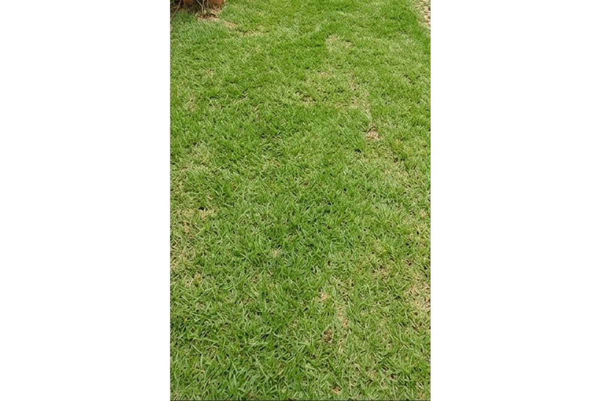 TERRENO EN OFERTA km 10 Acaray — foto 3