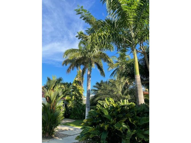 Casa de 4 alcobas en venta en Las Palmas, Ricaurte, 307 m² · foto 5 de 17