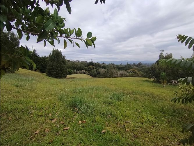 Lote en venta en Llano Grande, Rionegro, 2507 m² · foto 7 de 8