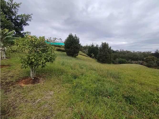 Lote en venta en Llano Grande, Rionegro, 2507 m² · foto 8 de 8
