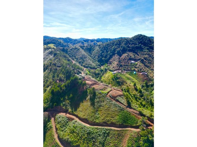 Lote en venta en Pantanillo, El Retiro, 5000 m² · foto 2 de 18