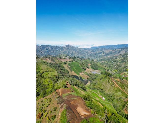 Lote en venta en Pantanillo, El Retiro, 5000 m² · foto 3 de 18
