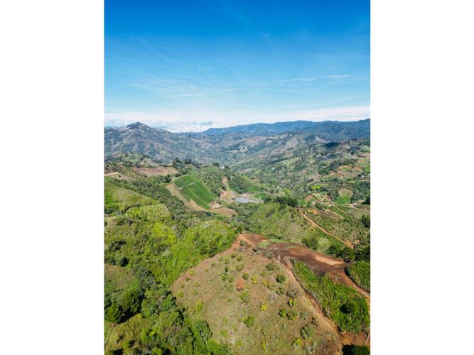 Lote en venta en Pantanillo, El Retiro, 5000 m² · foto 4 de 18