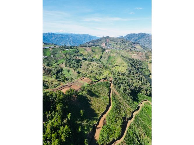Lote en venta en Pantanillo, El Retiro, 5000 m² · foto 6 de 18