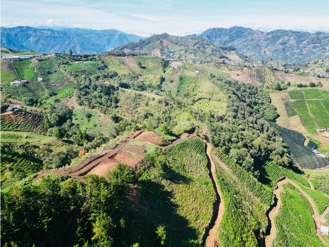 Lote en venta en Pantanillo, El Retiro, 5000 m² · foto 10 de 18