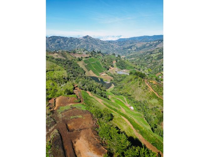 Lote en venta en Pantanillo, El Retiro, 5000 m² · foto 14 de 18