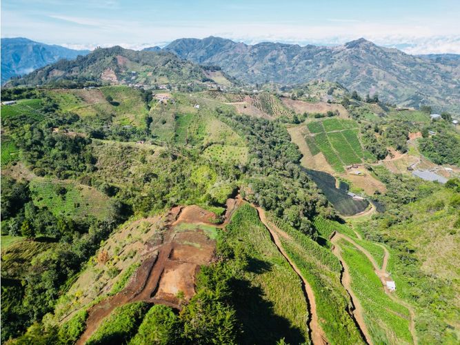 Lote en venta en Pantanillo, El Retiro, 5000 m² · foto 15 de 18
