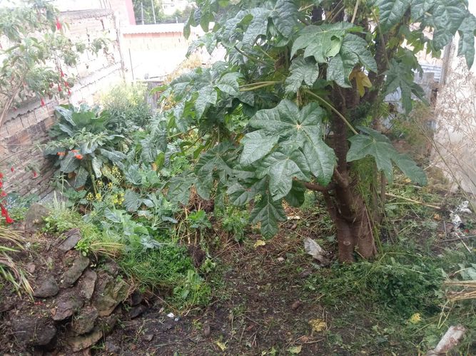 Casa de 2 alcobas en venta en Los Libertadores, Bogotá, 25 m² · foto 6 de 8