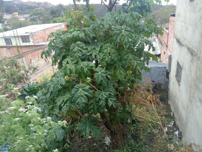 Casa de 2 alcobas en venta en Los Libertadores, Bogotá, 25 m² · foto 7 de 8