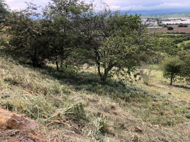 Lote en venta en Arroyohondo, Yumbo, 5013 m² · foto 3 de 16