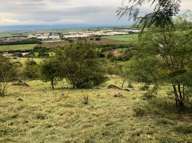 Lote en venta en Arroyohondo, Yumbo, 5013 m² · foto 7 de 16