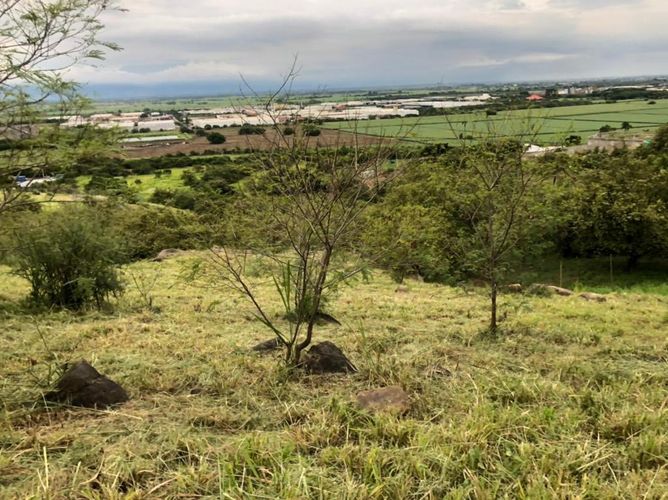Lote en venta en Arroyohondo, Yumbo, 5013 m² · foto 9 de 16