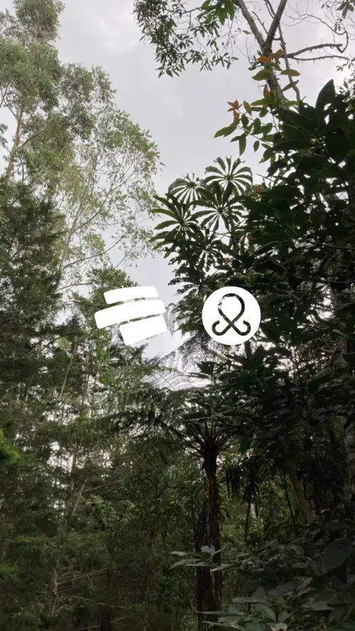 Finca en venta en Pantanillo, El Retiro, 9200 m² · foto 5 de 24