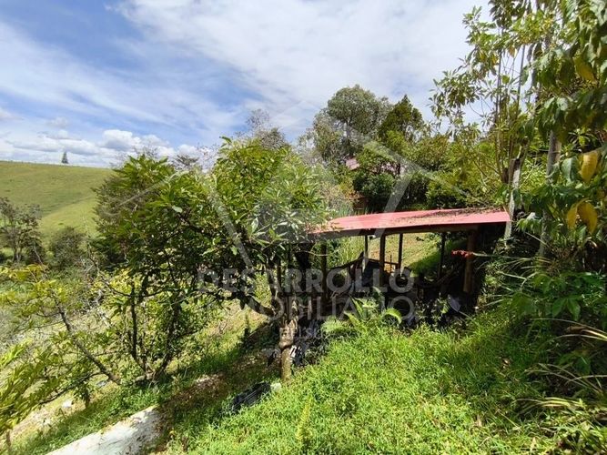 Casa de 3 alcobas en arriendo en Gaviria, Marinilla, 121 m² · foto 15 de 15