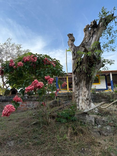 Lote en venta en Chucuni, Ibagué, 2800 m² · foto 7 de 12