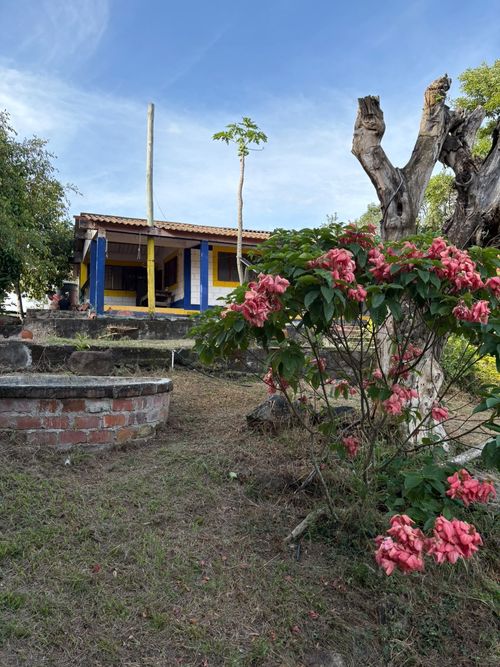 Lote en venta en Chucuni, Ibagué, 2800 m² · foto 9 de 12