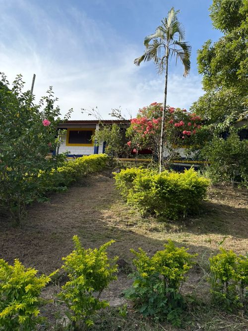 Lote en venta en Chucuni, Ibagué, 2800 m² · foto 10 de 12