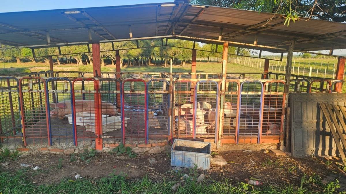 Venta de Rancho Hebrón – 30 Hectáreas Productivas en Compañía Entre Ríos, Ybycuí — foto 3